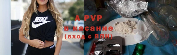 твердый Магас