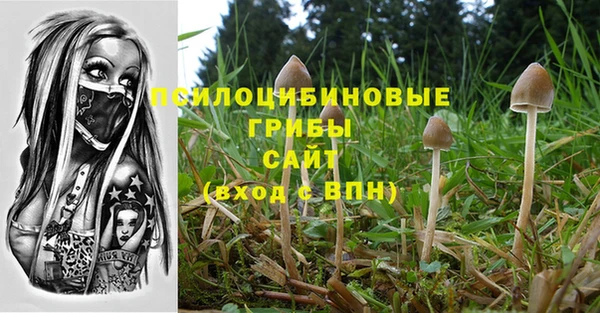 каннабис Майский