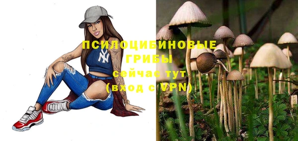 гашик Липки