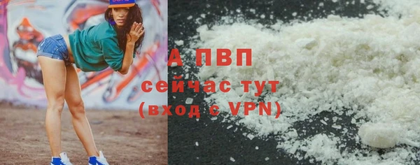 твердый Магас