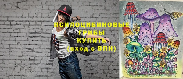 мескалин Медвежьегорск