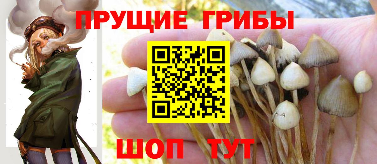 Галлюциногенные грибы мухоморы Мыски